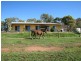 738 Julimar Road, Toodyay, Toodyay WA 6566