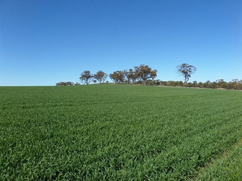 116 One Man Road, Toodyay WA 6566