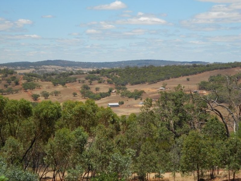 244 Timber Creek Crescent, Toodyay WA 6566