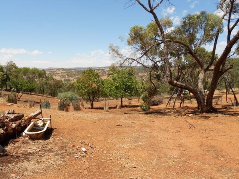 244 Timber Creek Crescent, Toodyay WA 6566