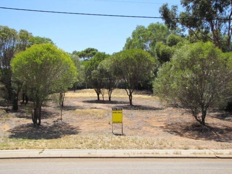 Lot 305 60 Telegraph Road, Toodyay WA 6566