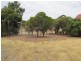 Lot 305 60 Telegraph Road, Toodyay WA 6566