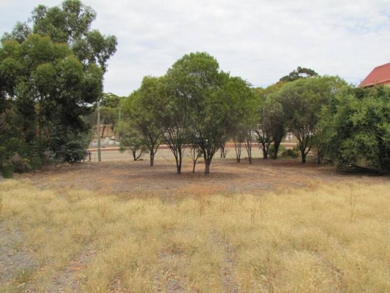 Lot 305 60 Telegraph Road, Toodyay WA 6566