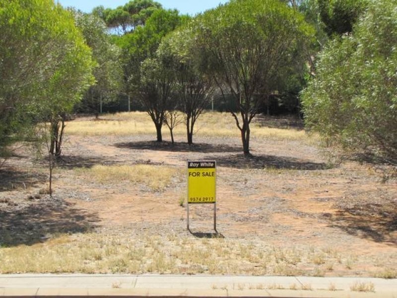 Lot 305 60 Telegraph Road, Toodyay WA 6566