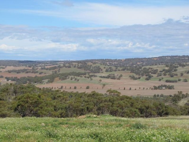 Lot 126 Drumree Drive, Toodyay WA 6566