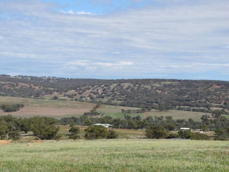 Lot 126 Drumree Drive, Toodyay WA 6566