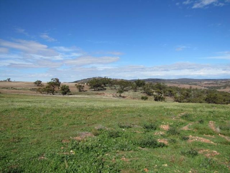 Lot 126 Drumree Drive, Toodyay WA 6566