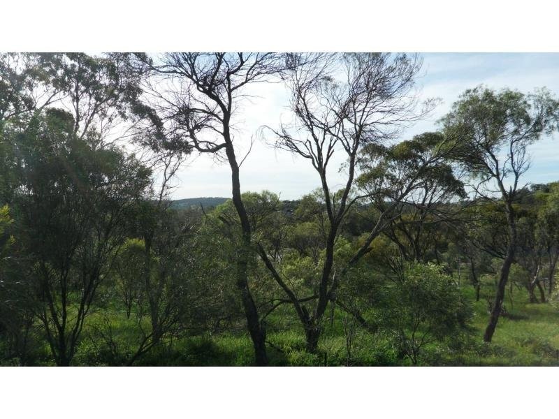 17 Westview Place, Toodyay WA 6566