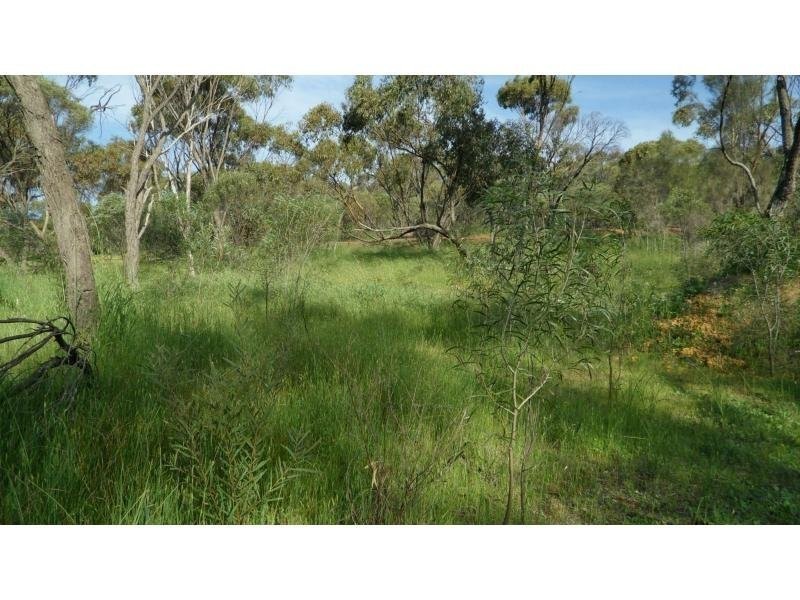 17 Westview Place, Toodyay WA 6566