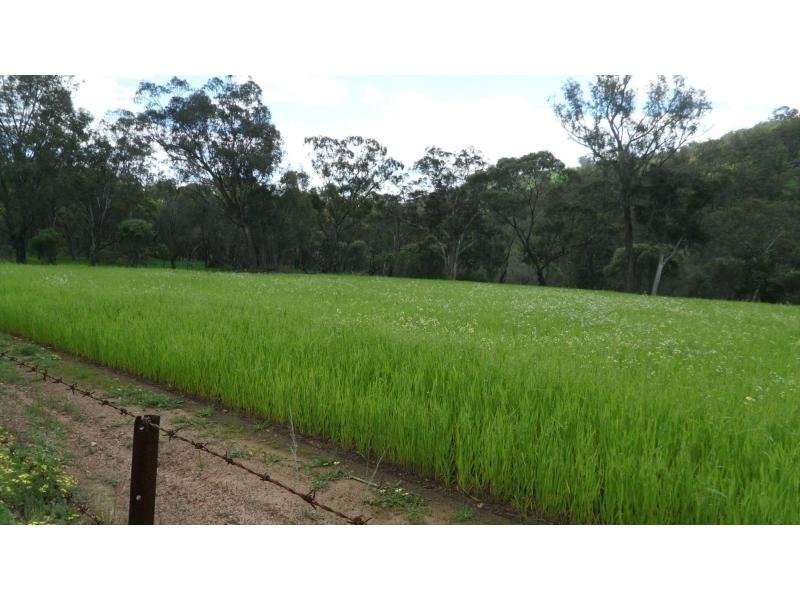 L602 Cobbler Pool Road, Toodyay WA 6566