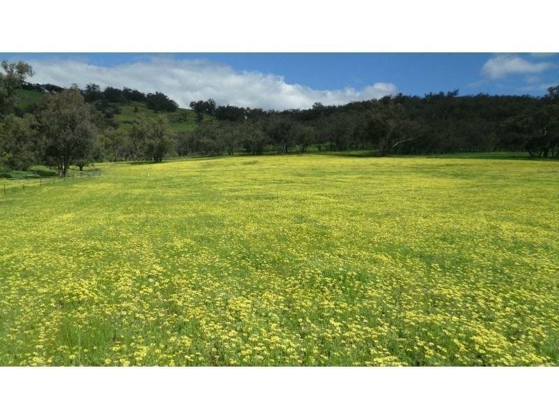 L602 Cobbler Pool Road, Toodyay WA 6566