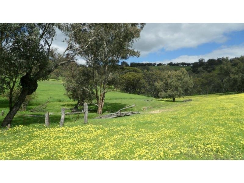 L602 Cobbler Pool Road, Toodyay WA 6566