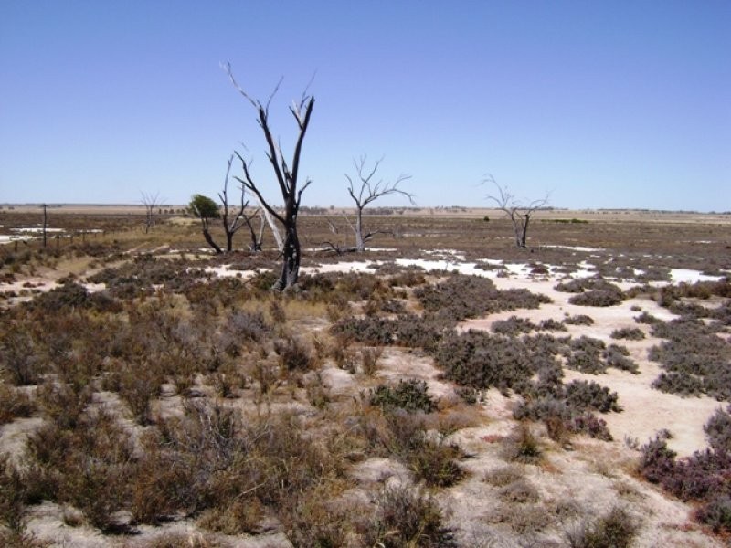 Minnivale WA 6462
