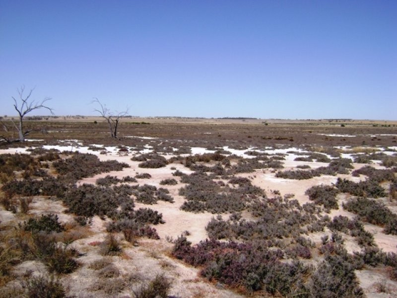 Minnivale WA 6462
