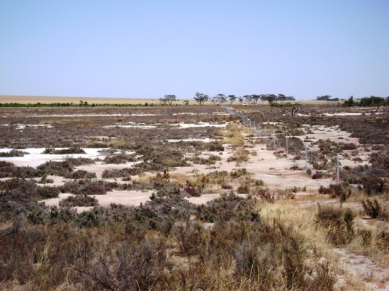 Minnivale WA 6462
