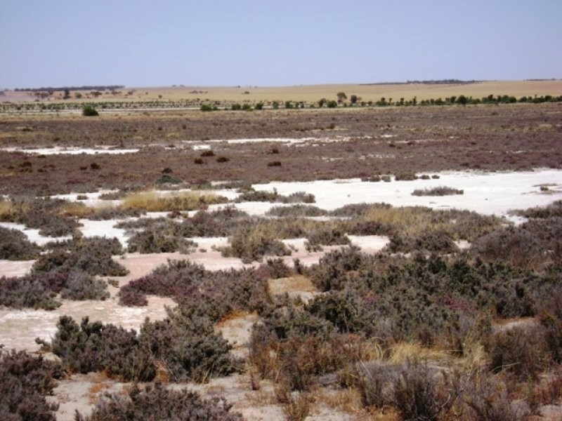 Minnivale WA 6462
