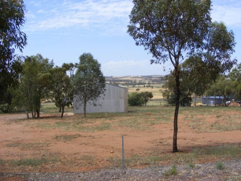 120 Goomalling Road, Northam WA 6401
