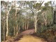Lot 30 Hibbertia, Toodyay WA 6566