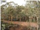 Lot 30 Hibbertia, Toodyay WA 6566