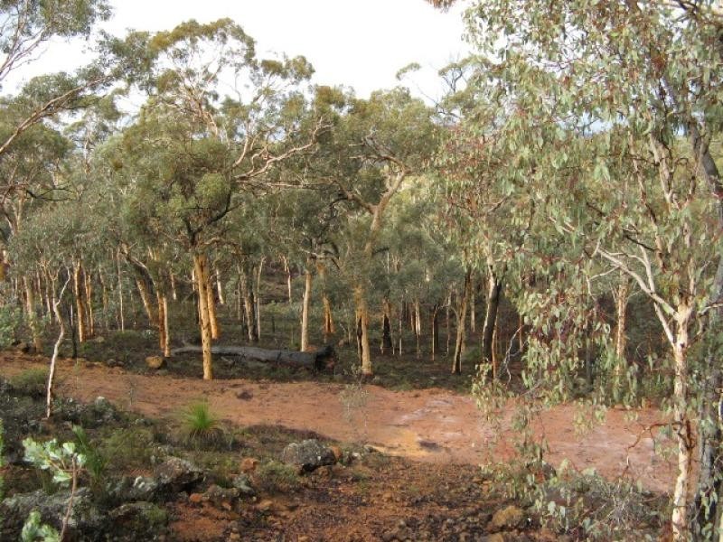 Lot 30 Hibbertia, Toodyay WA 6566
