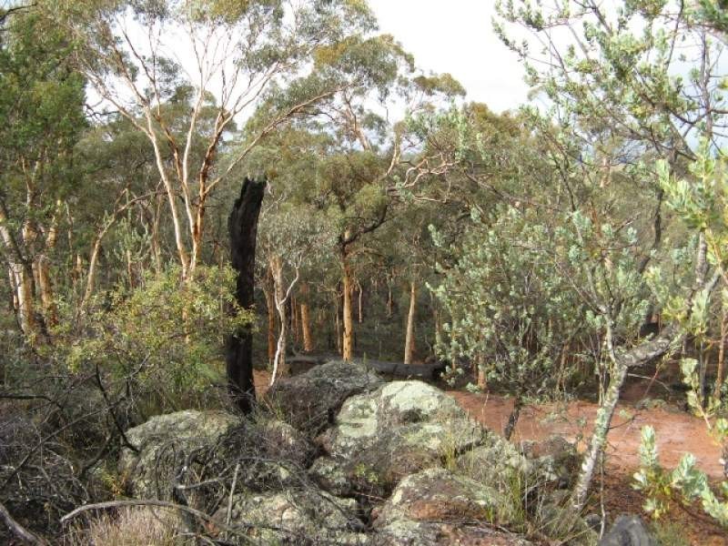 Lot 30 Hibbertia, Toodyay WA 6566