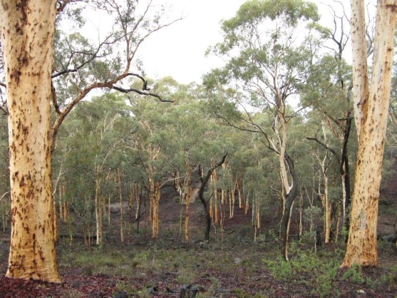 Lot 30 Hibbertia, Toodyay WA 6566