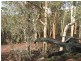 Lot 30 Hibbertia, Toodyay WA 6566