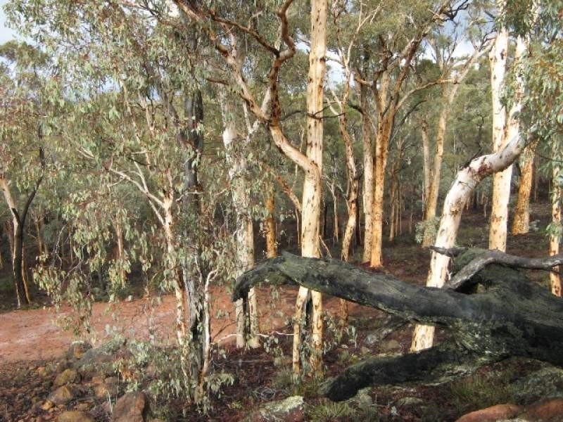 Lot 30 Hibbertia, Toodyay WA 6566