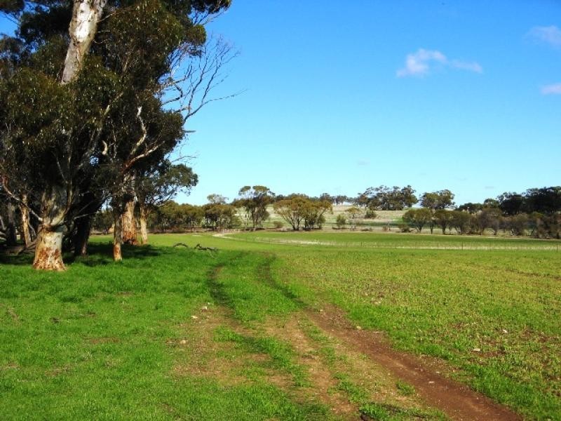 Toodyay – Goomalling Road, Toodyay WA 6566