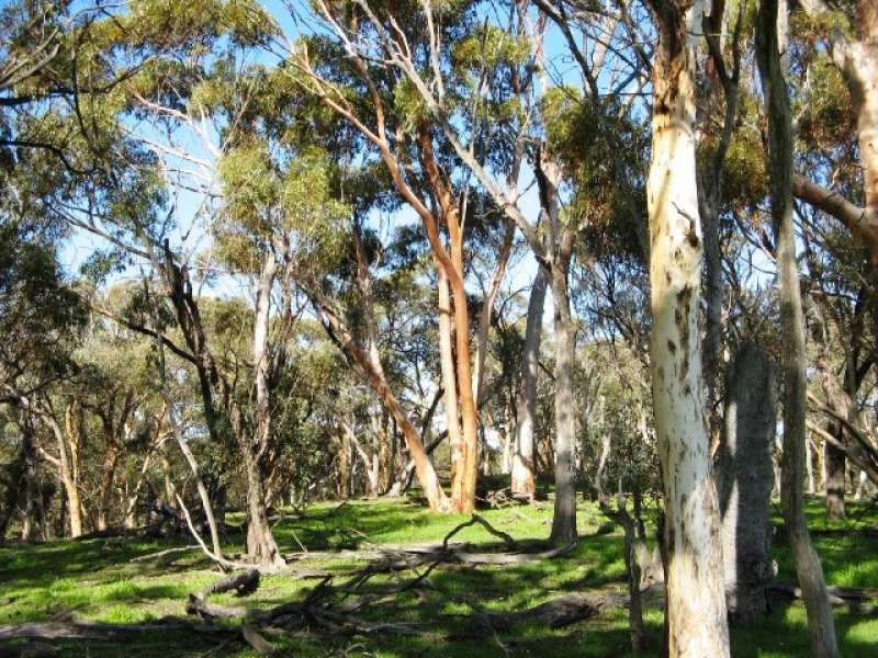 Toodyay – Goomalling Road, Toodyay WA 6566