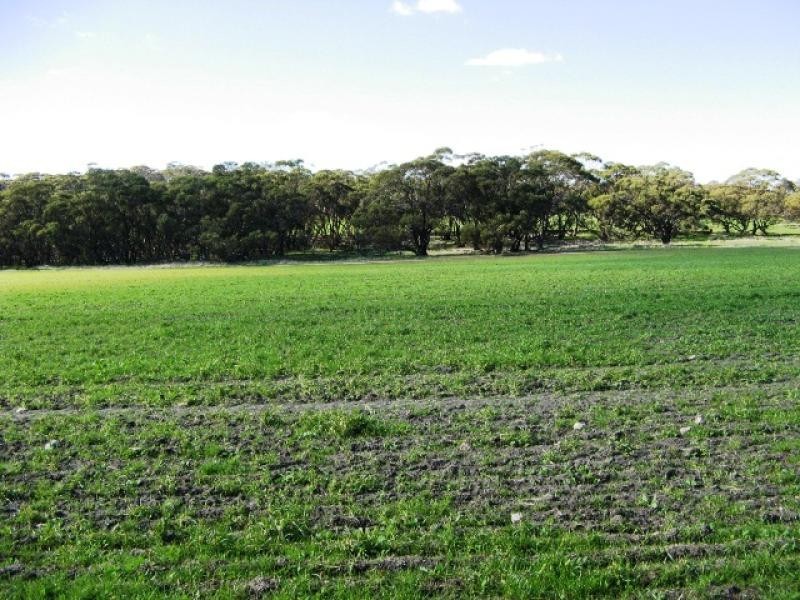 Toodyay – Goomalling Road, Toodyay WA 6566