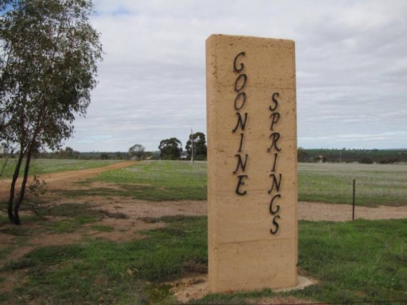 L704 Patterson Road, Goomalling, Goomalling WA 6460