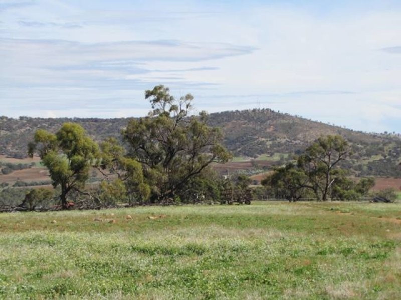 L123 Drumree Drive, Mountain Park, Toodyay WA 6566