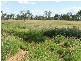 Lot 60 willowthal Road, St George QLD 4487