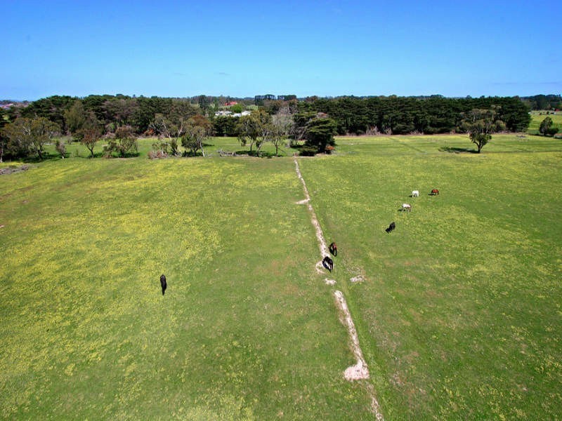 248 Hodgins Road, Hastings VIC 3915