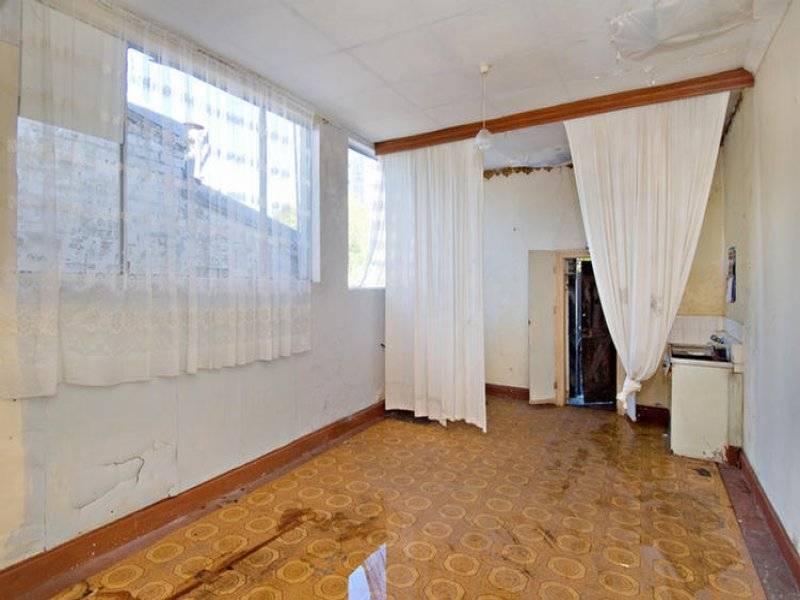 117 Chelmsford Street, Newtown NSW 2042