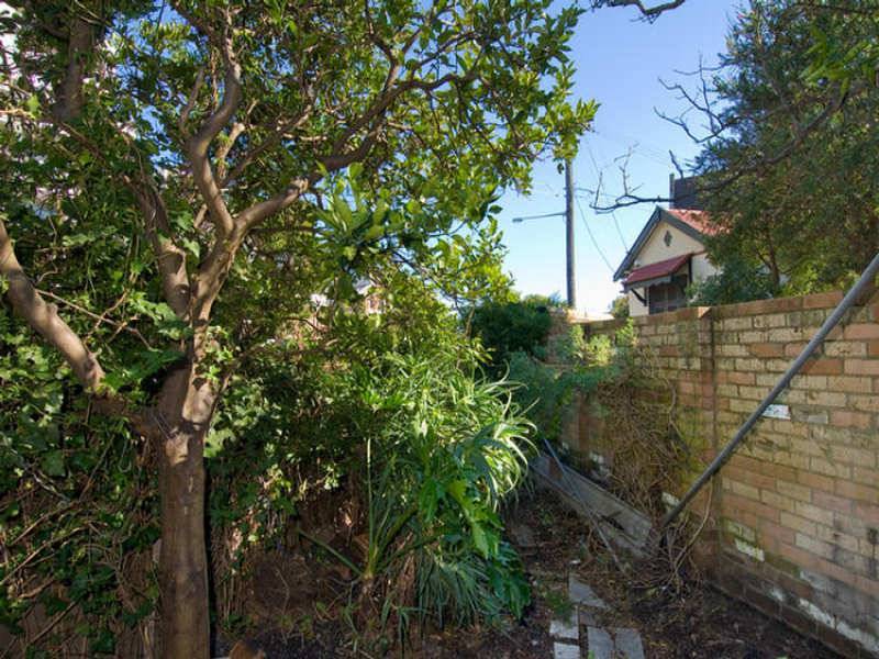 117 Chelmsford Street, Newtown NSW 2042