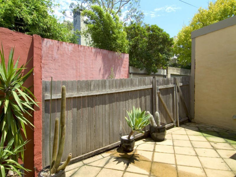 55 Bucknell Street, Newtown NSW 2042