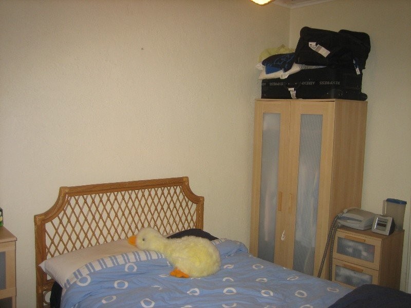 20 Florence Street, St Peters NSW 2044