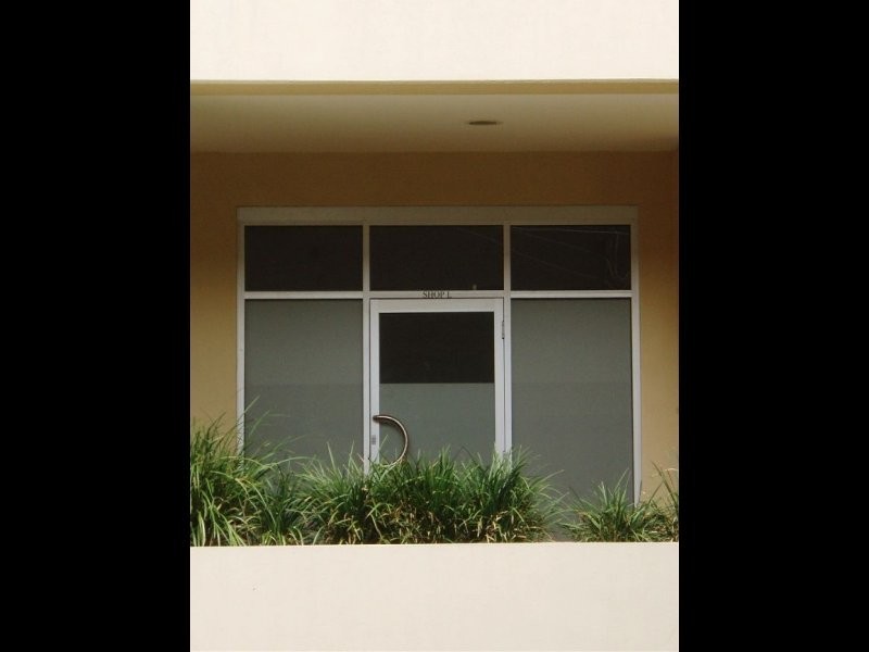 Shop L, 1 Shirley Street, Alexandria NSW 2015