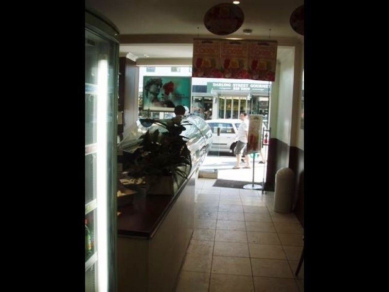 313 Darling Street, Balmain NSW 2041