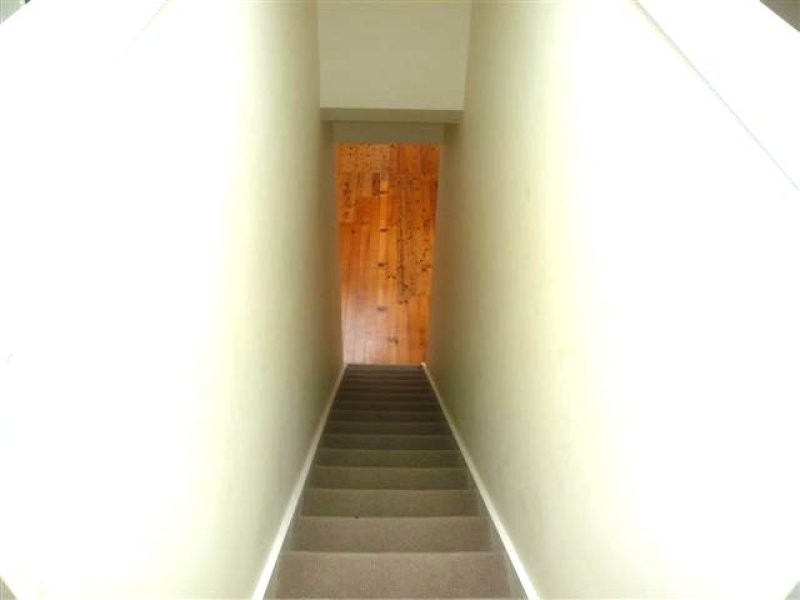 9 Walker Avenue, Edgecliff NSW 2027