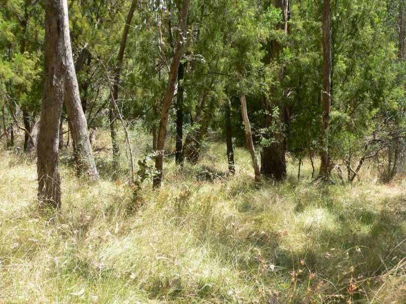 Tolmie Rd, Benalla VIC 3672