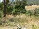 Tolmie Rd, Benalla VIC 3672