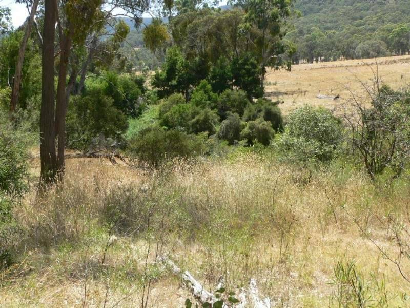 Tolmie Rd, Benalla VIC 3672