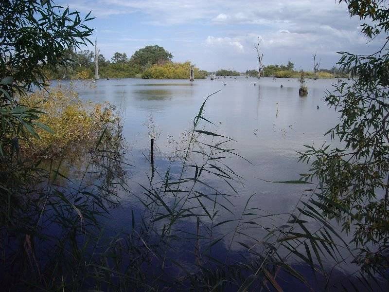 10 McLeod Street, Nagambie VIC 3608