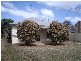 23 Vale Street, Nagambie VIC 3608