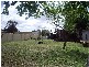 23 Vale Street, Nagambie VIC 3608