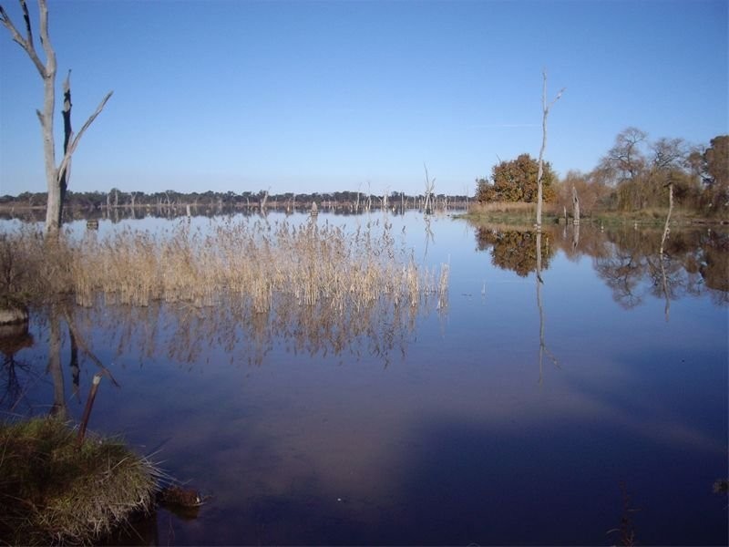 207 Goulburn Weir Road, Nagambie VIC 3608