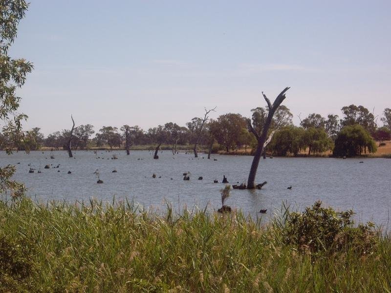 Lot 2 Baxters Road, Nagambie VIC 3608